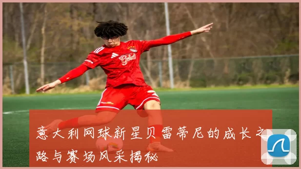 意大利网球新星贝雷蒂尼的成长之路与赛场风采揭秘