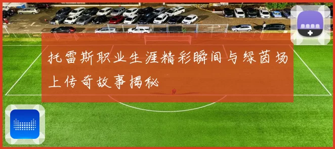 托雷斯职业生涯精彩瞬间与绿茵场上传奇故事揭秘