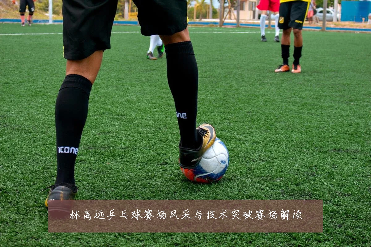 林高远乒乓球赛场风采与技术突破赛场解读